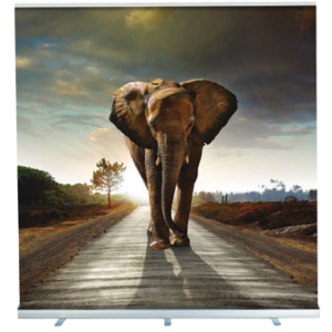 Showdisplay Roll Up Easy XXL